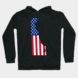 Delaware, USA Hoodie